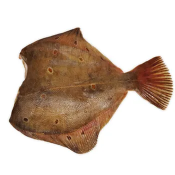 Камбала с/м б/г ж/б 21+ ~100г