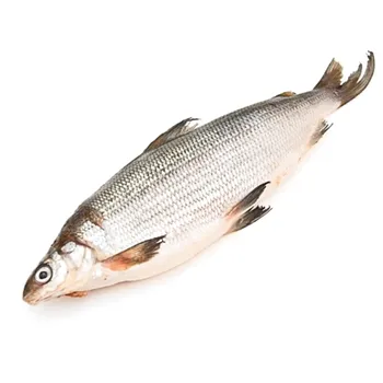 Омуль 1+ ~100г