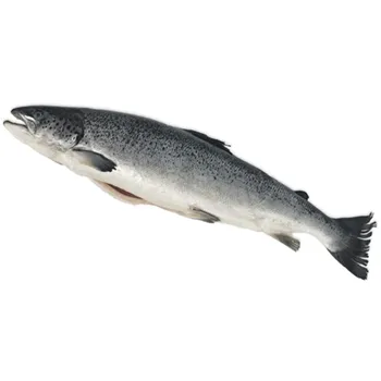 Сёмга с/м ПСГ 4-5 прем. вес ~100г