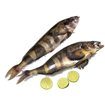 Терпуг с/м н/р 600-800 ~100г