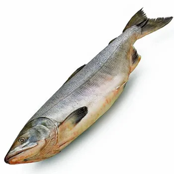 Голец с/м н/р 25+ ~100г