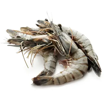 Креветка черная тигр. с/м 16/20 ~100г