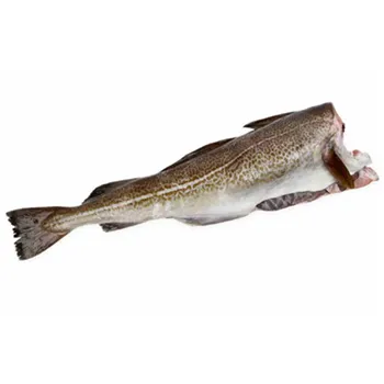 Треска с/м ПБГ 2+ ~100г