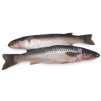 Пеленгас с/м ~100г