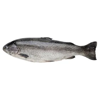 Форель Радужная с/м н/р 500-800 ~100г