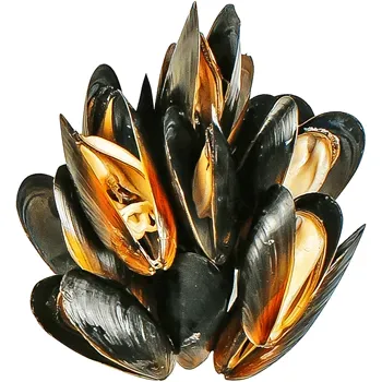 Мидии в раковине 40/60 варено-мороженые ~100г