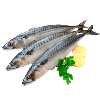 Скумбрия с/м н/р 300-600 ~100г