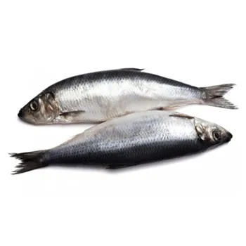 Сельдь с/с 550+ ~100г