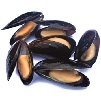 Мидии с/м 30/40 в пол раковин синие ~100г