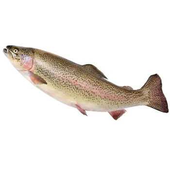 Форель Радужная с/м н/р 400-800 ~100г
