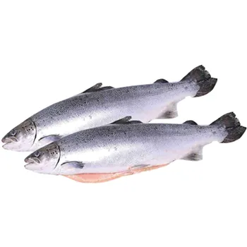 Сёмга с/м ПСГ 6-7 ~100г