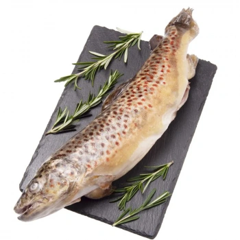 Форель Радужная с/м н/р 400-800 ~100г