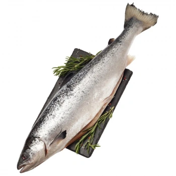 Сёмга с/м ПСГ 7-8 ~100г