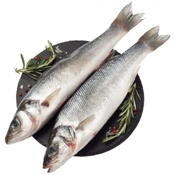 Сибас с/м 300-400 ~100г