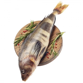 Терпуг с/м н/р 600-800 ~100г